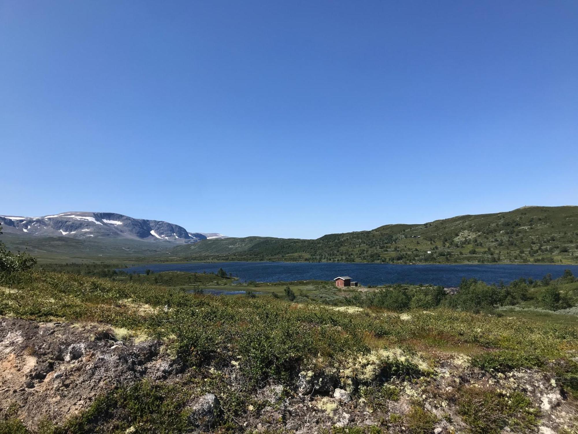 Appartement Superior Geilo