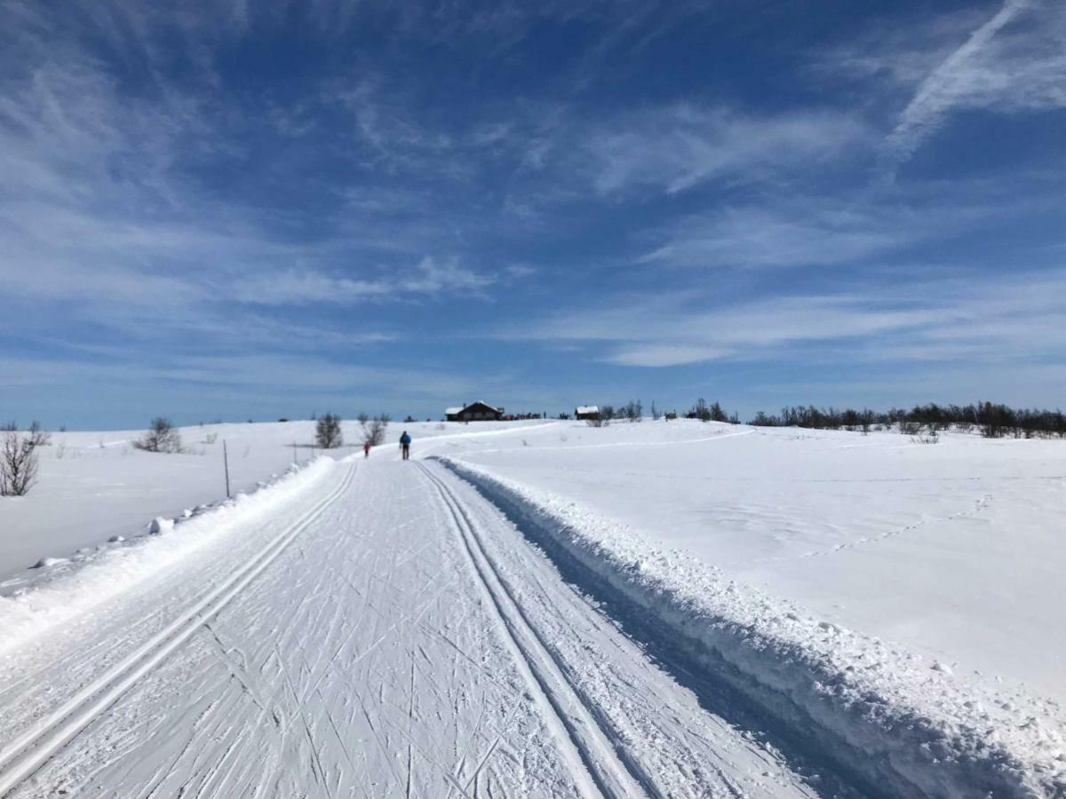 Superior Geilo